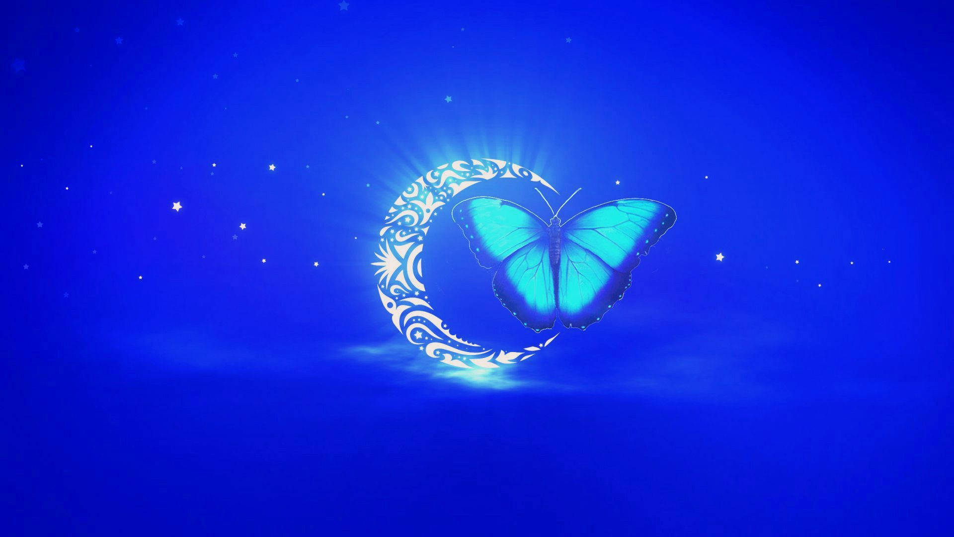 night butterfly 桌布 壁紙 — 一隻發光的綠松石蝴蝶棲息在一個華麗的彎月上，背景是繁星點點的深藍色夜空。