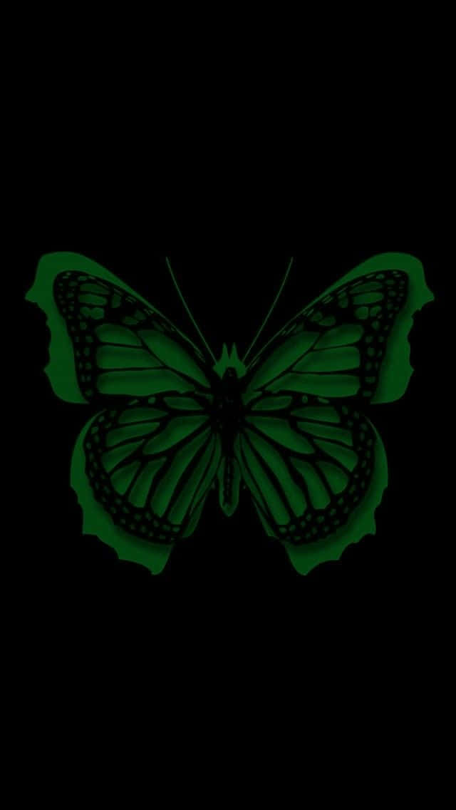 Green Butterfly 桌布 壁紙 — 一隻發光的綠色蝴蝶，帶有複雜的翅膀圖案，在純黑色背景上脫穎而出。