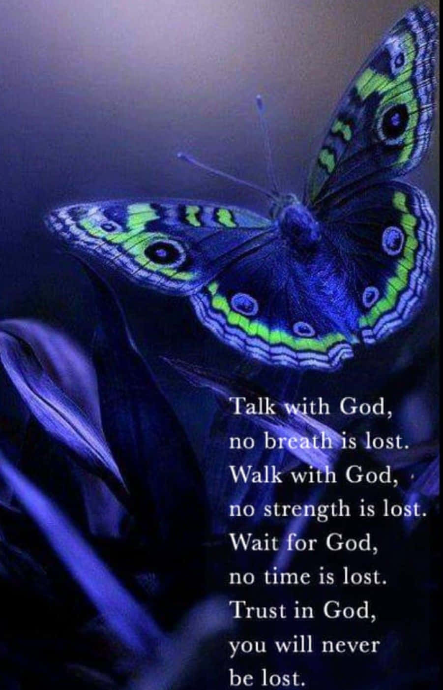 Butterfly Quotes 桌布 壁紙 — 一隻發光的藍綠色蝴蝶停在深色花瓣上，背景為紫色，並帶有啟發性的文字疊加。