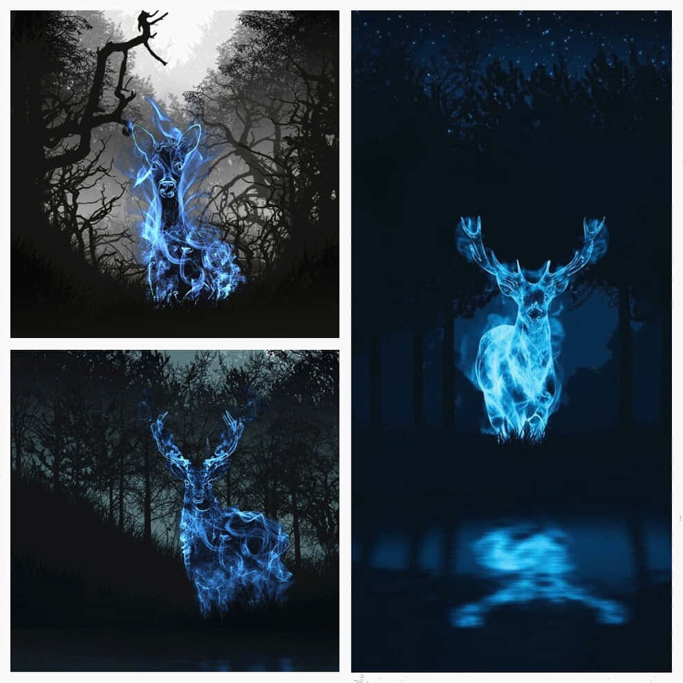 Patronus 桌布 壁紙 — 一隻發光的藍色幽靈鹿站在黑暗的森林中，其空靈的身影在星空下的水中倒映。