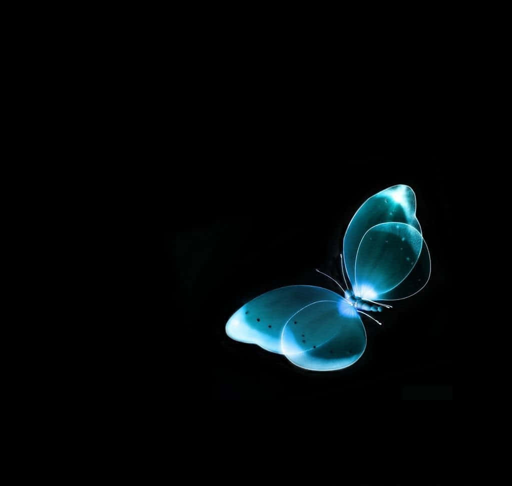 Dark Butterfly 桌布 壁紙 — 一隻發光的藍色蝴蝶，帶有半透明翅膀和黑色斑點，漂浮在純黑色背景上。