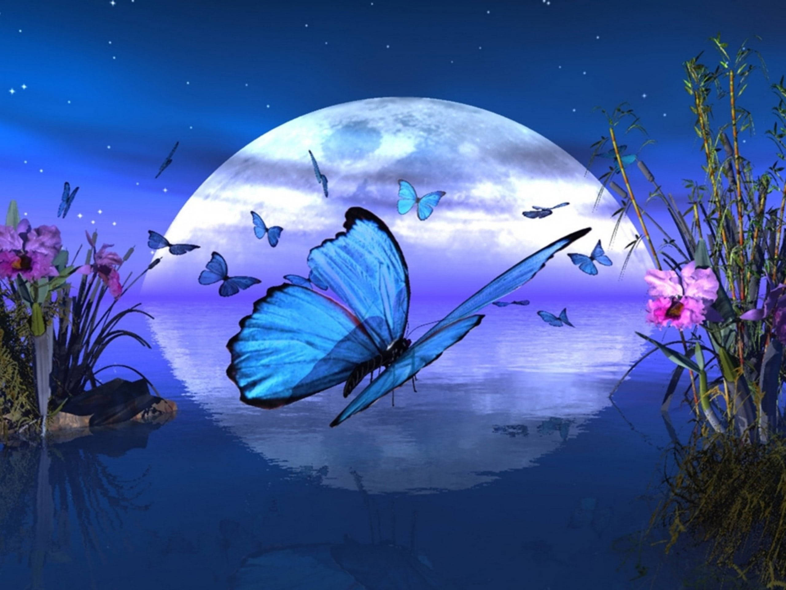 night butterfly 桌布 壁紙 — 一隻發光的藍色蝴蝶在星空下飛過一個被粉紅色花朵和蘆葦環繞的月光池塘。