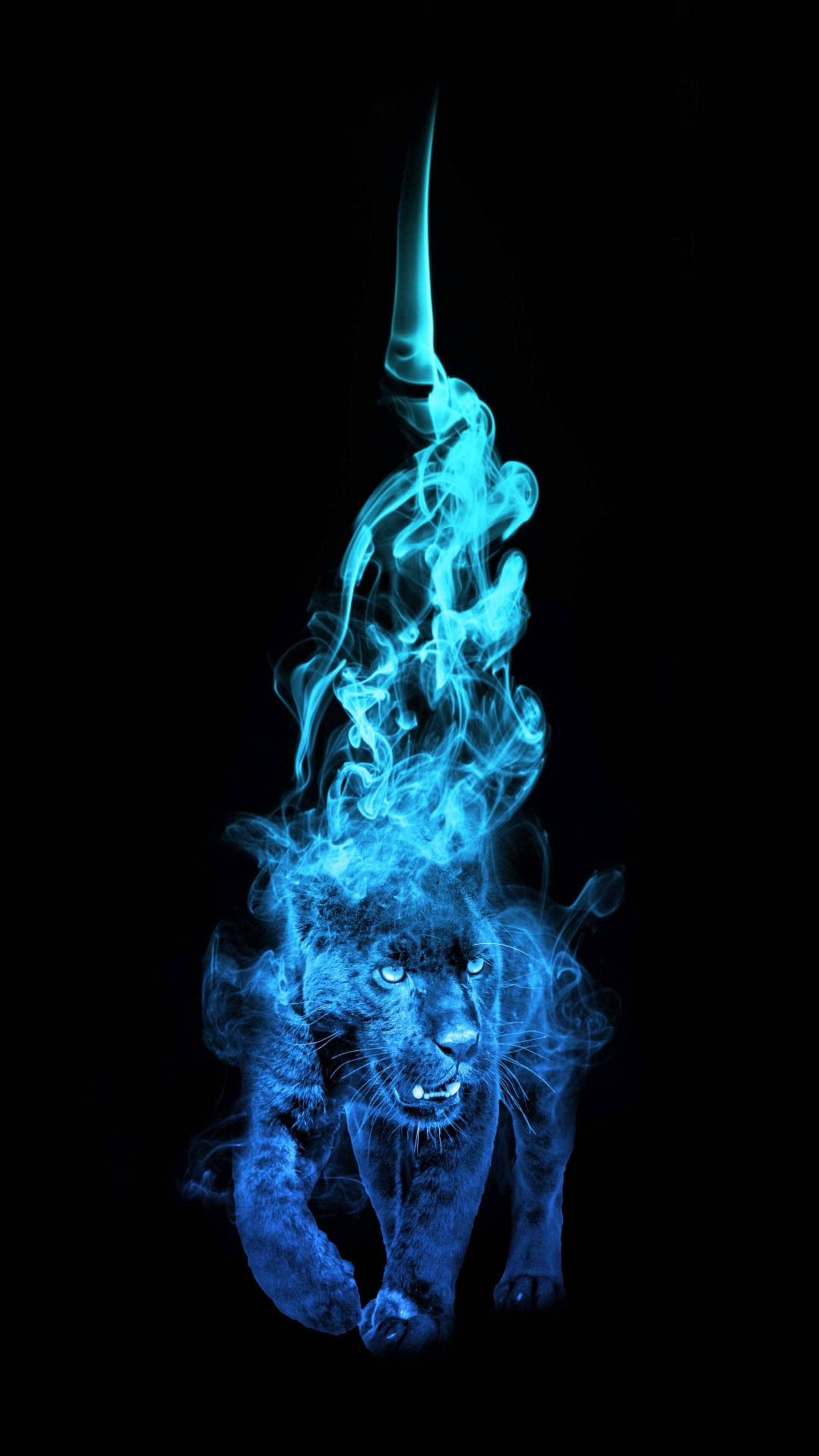 Flame 桌布 壁紙 — 一隻發光的藍色黑豹，背部冒煙，背景為黑色。