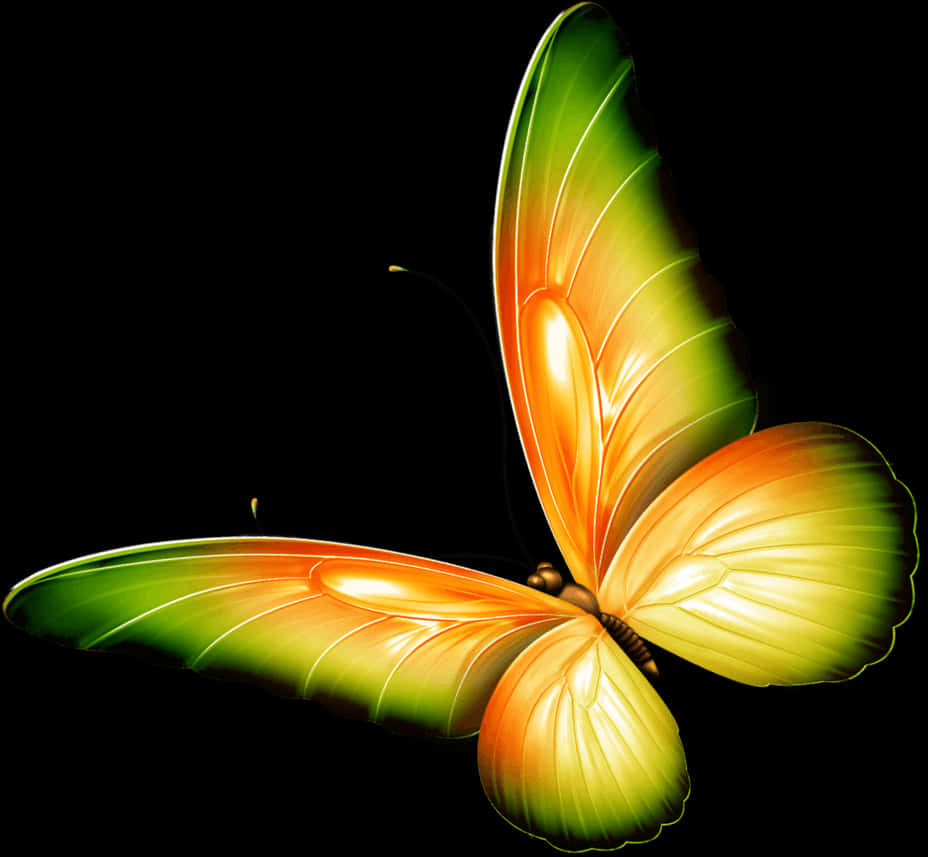 Butterflies 桌布 壁紙 — 一隻發光的蝴蝶，帶有綠色和橙色的漸層翅膀，在純黑背景上閃耀。