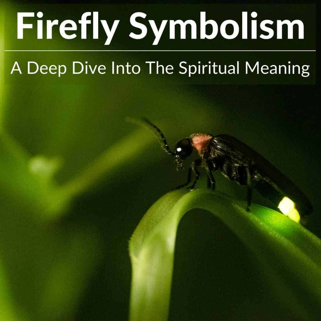 firefly 桌布 壁紙 — 一隻發光的螢火蟲輕輕停在一塊彎曲的綠葉上，背景是黑暗模糊的。