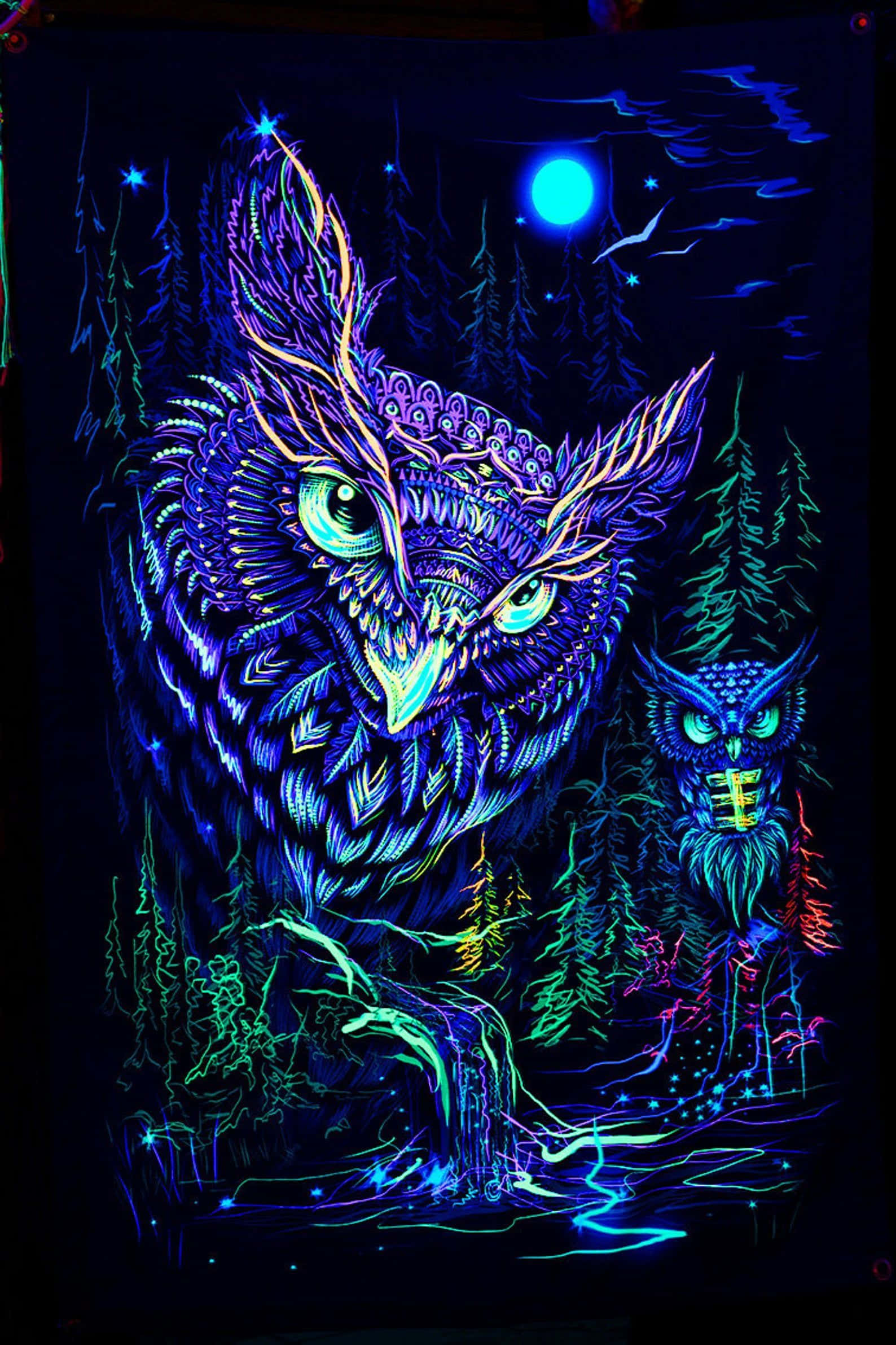 Psychedelic Animals 桌布 壁紙 — 一隻發光的霓虹貓頭鷹帶有複雜圖案，在明亮的藍月下從黑暗的森林中凝視著。