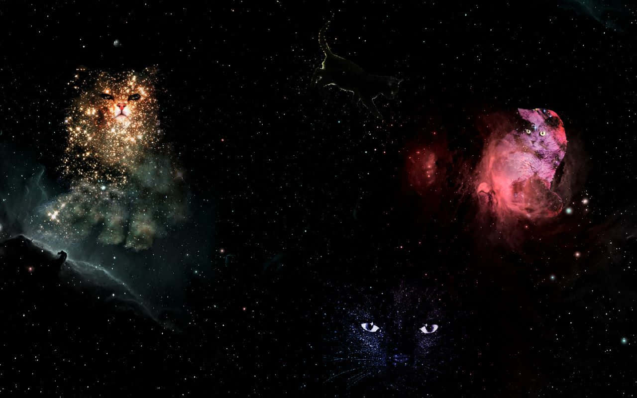 桌布 壁紙 — 一隻發光眼睛的宇宙貓從星空中凝視，星雲在深空中形成天體貓的剪影。