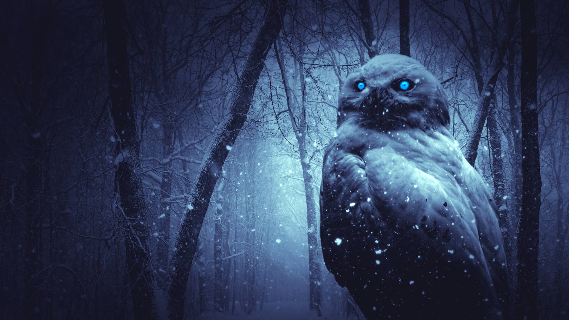 冬季美學 桌布 壁紙 — 一隻發光眼睛的貓頭鷹棲息在夜晚的雪地森林中，雪花飄落，光禿禿的樹木在深藍色的天空下。
