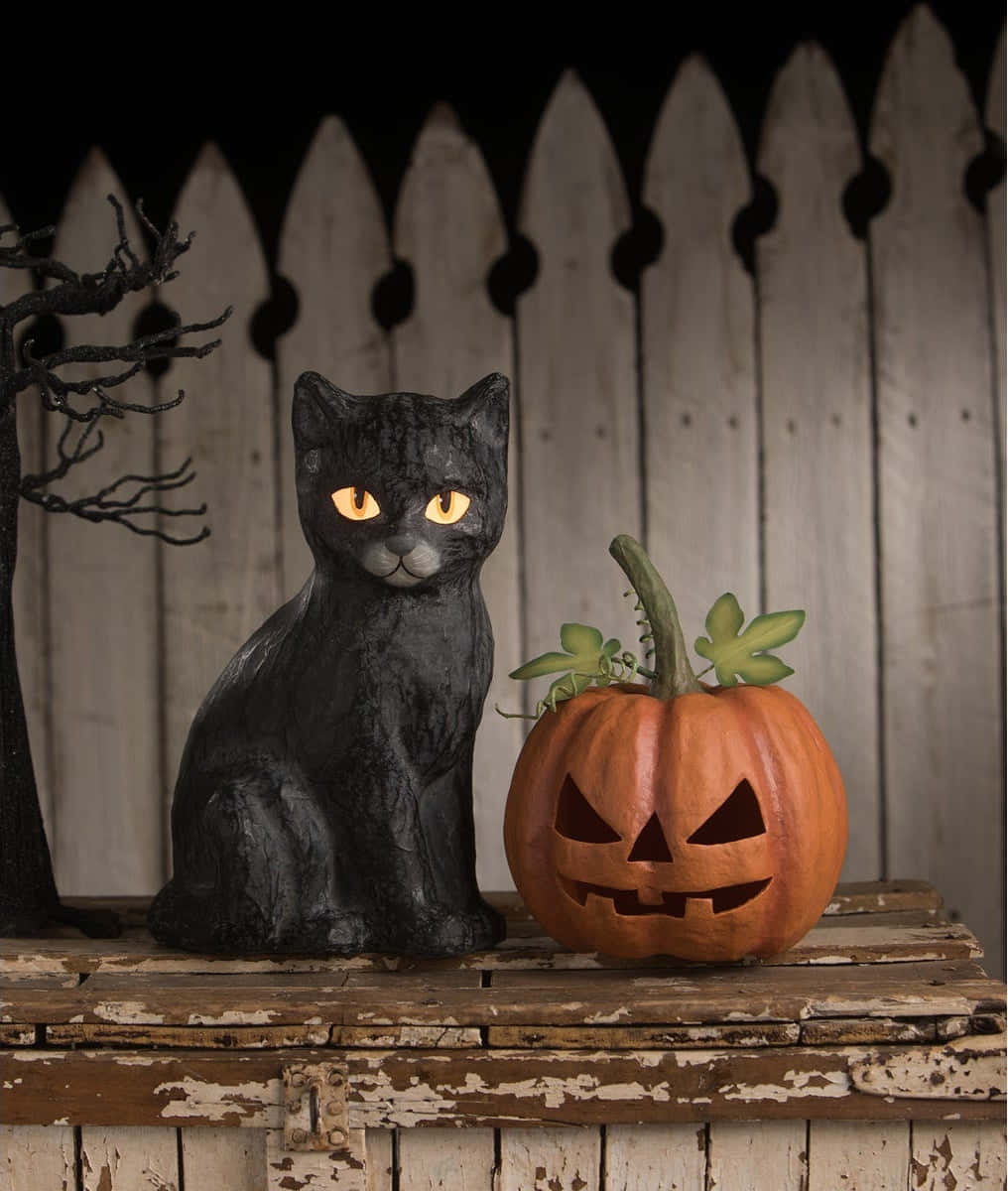 Halloween Cat 桌布 壁紙 — 一隻發光眼睛的黑貓雕像坐在一個雕刻南瓜旁邊，放在經風化的木質表面上，背景是白色柵欄。