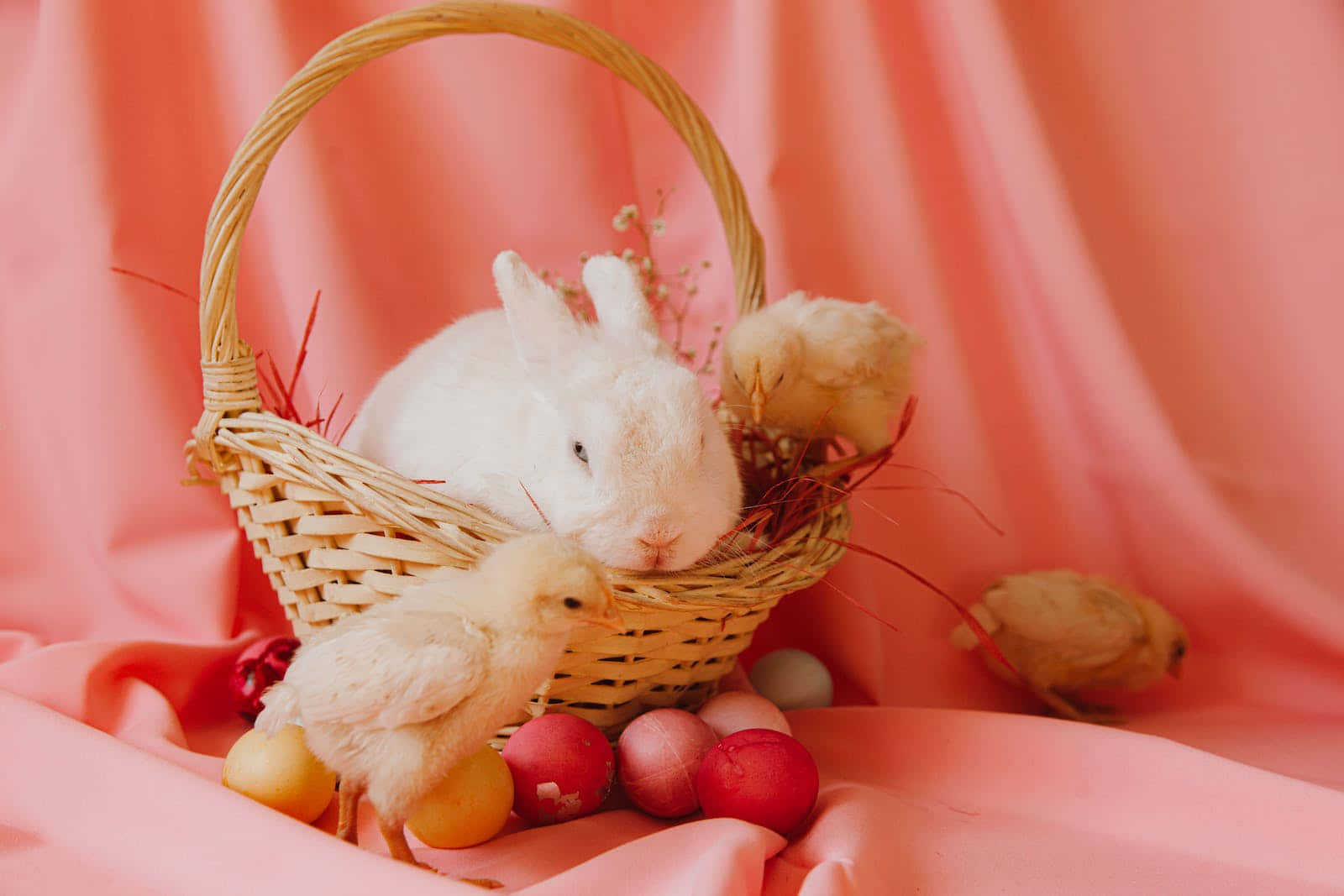 Pastel Easter 桌布 壁紙 — 一隻白兔依偎在柳條籃裡，與小雞和彩色雞蛋一起，背景是柔軟的粉紅色布料。