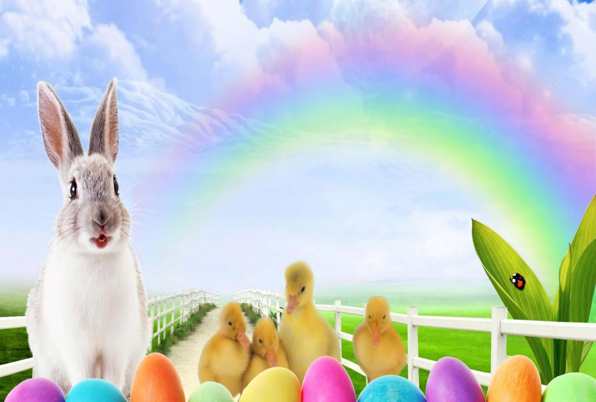 Easter 桌布 壁紙 — 一隻白兔和黃色小鴨站在色彩繽紛的復活節彩蛋旁邊，在充滿活力的彩虹下，陽光普照的田園場景。