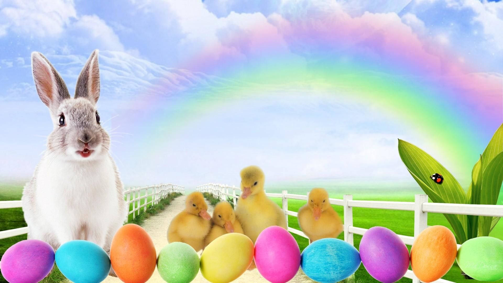 Cute Easter 桌布 壁紙 — 一隻白兔和黃色小鴨站在色彩繽紛的復活節蛋旁邊，在充滿活力的彩虹下，陽光明媚的田園場景。