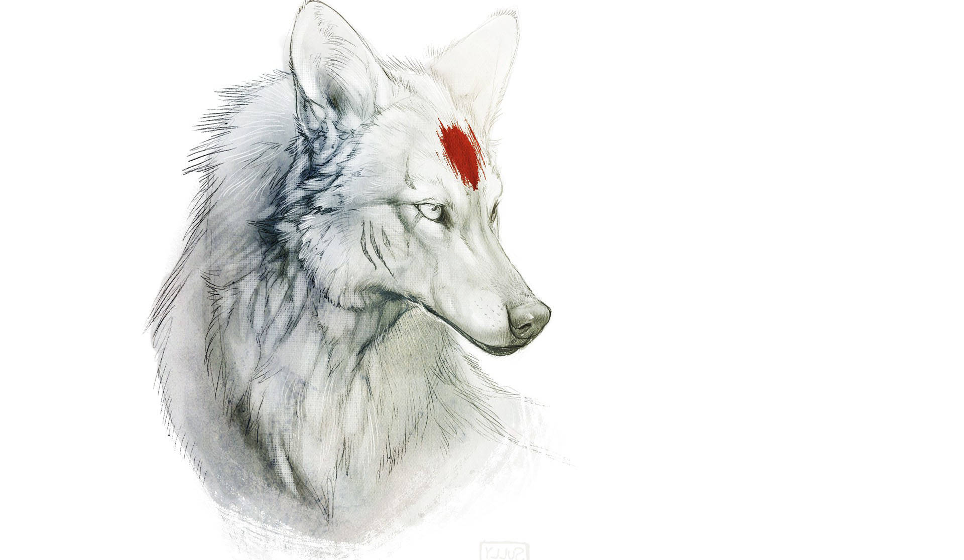 一隻額頭上有紅色標記的白狼，以素描風格插圖呈現。 — 極簡桌面 壁紙