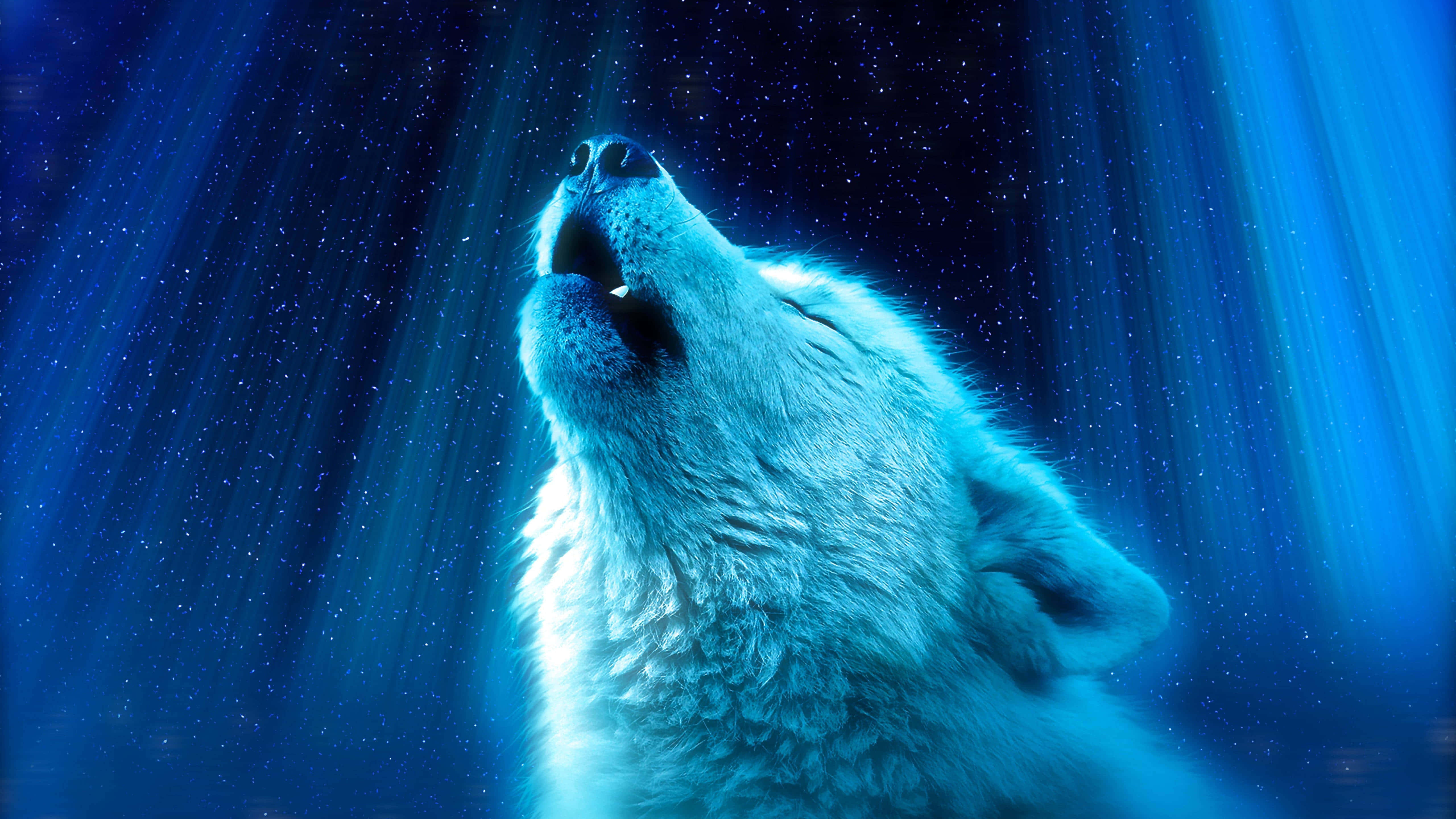 Wolf Aesthetic 桌布 壁紙 — 一隻白狼向著佈滿星星的藍色天空嚎叫，耀眼的光束穿透雲層。