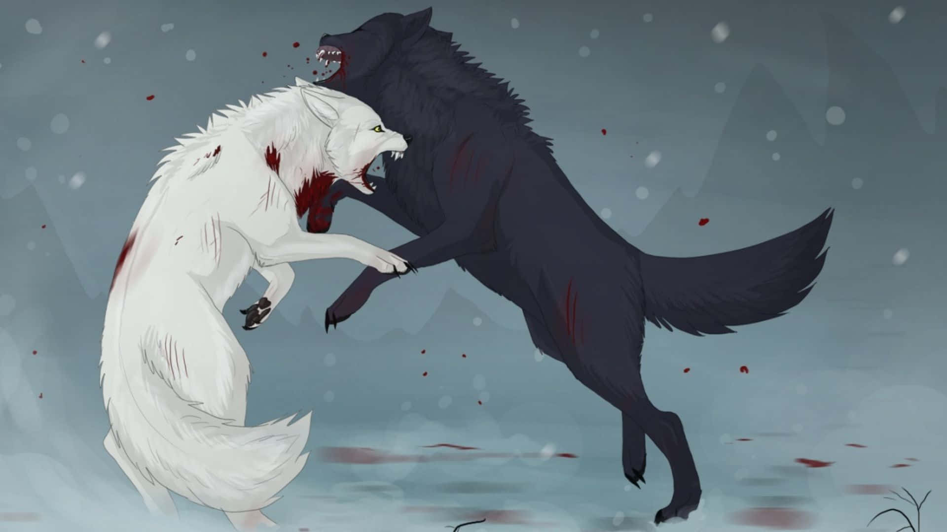Wolf's Rain Darcia 桌布 壁紙 — 一隻白狼和一隻黑狼在雪地戰鬥中碰撞，鮮血濺在灰色山脈背景上。