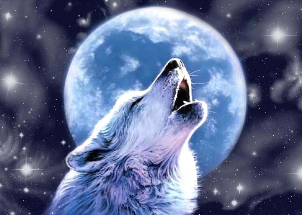 White Wolf 桌布 壁紙 — 一隻白狼對著被閃爍星星環繞的巨大藍色月亮向上嚎叫，背景是宇宙夜空。