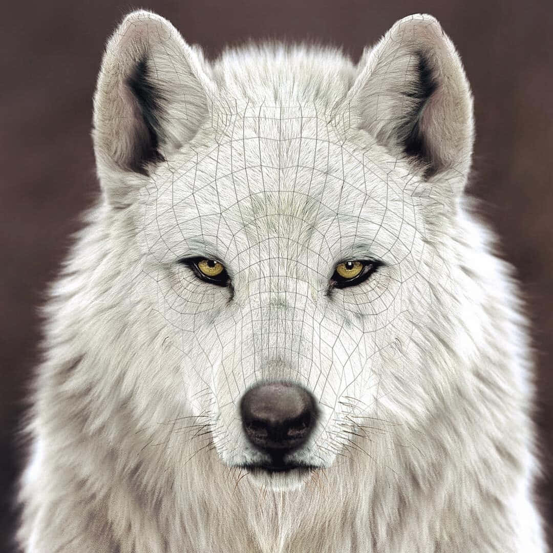 Wolf Photography 桌布 壁紙 — 一隻白狼的特寫，擁有銳利的琥珀色眼睛，覆蓋著詳細的線框網格，背景為柔和的棕色。