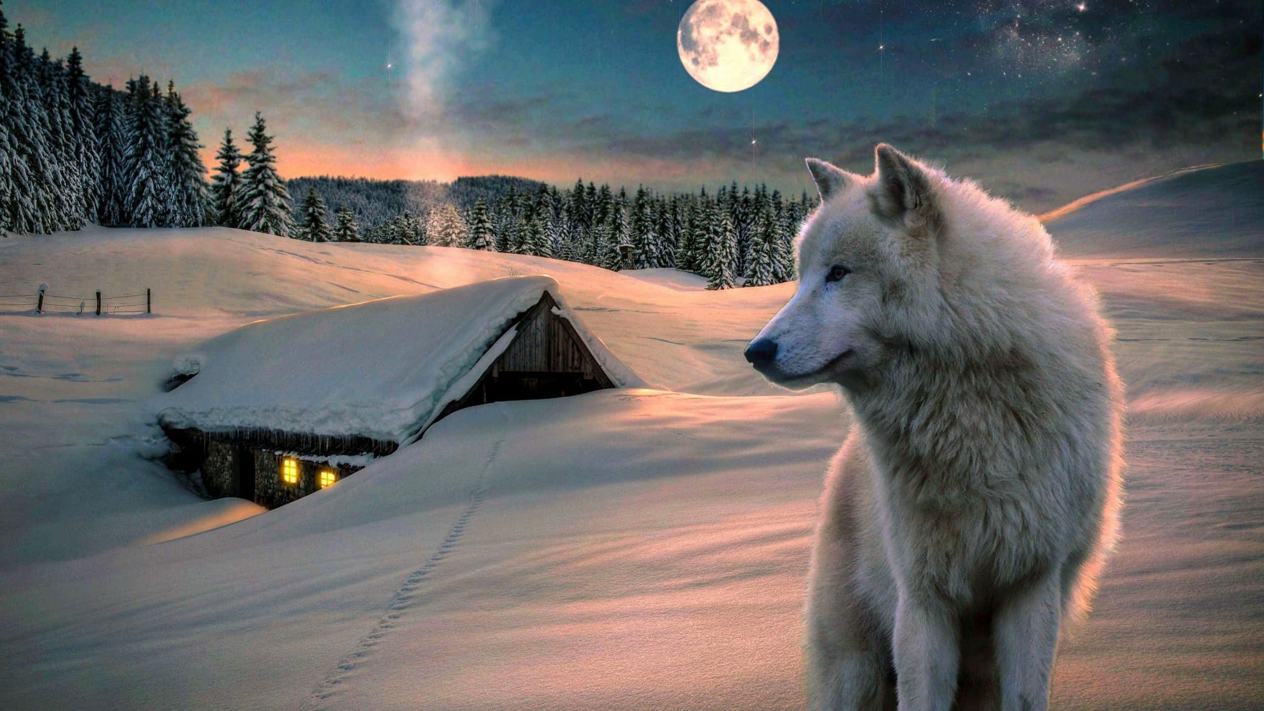 Wolf Moon 桌布 壁紙 — 一隻白狼站在雪地上，滿月高掛，遠方被雪覆蓋的小屋透出溫暖的光芒。