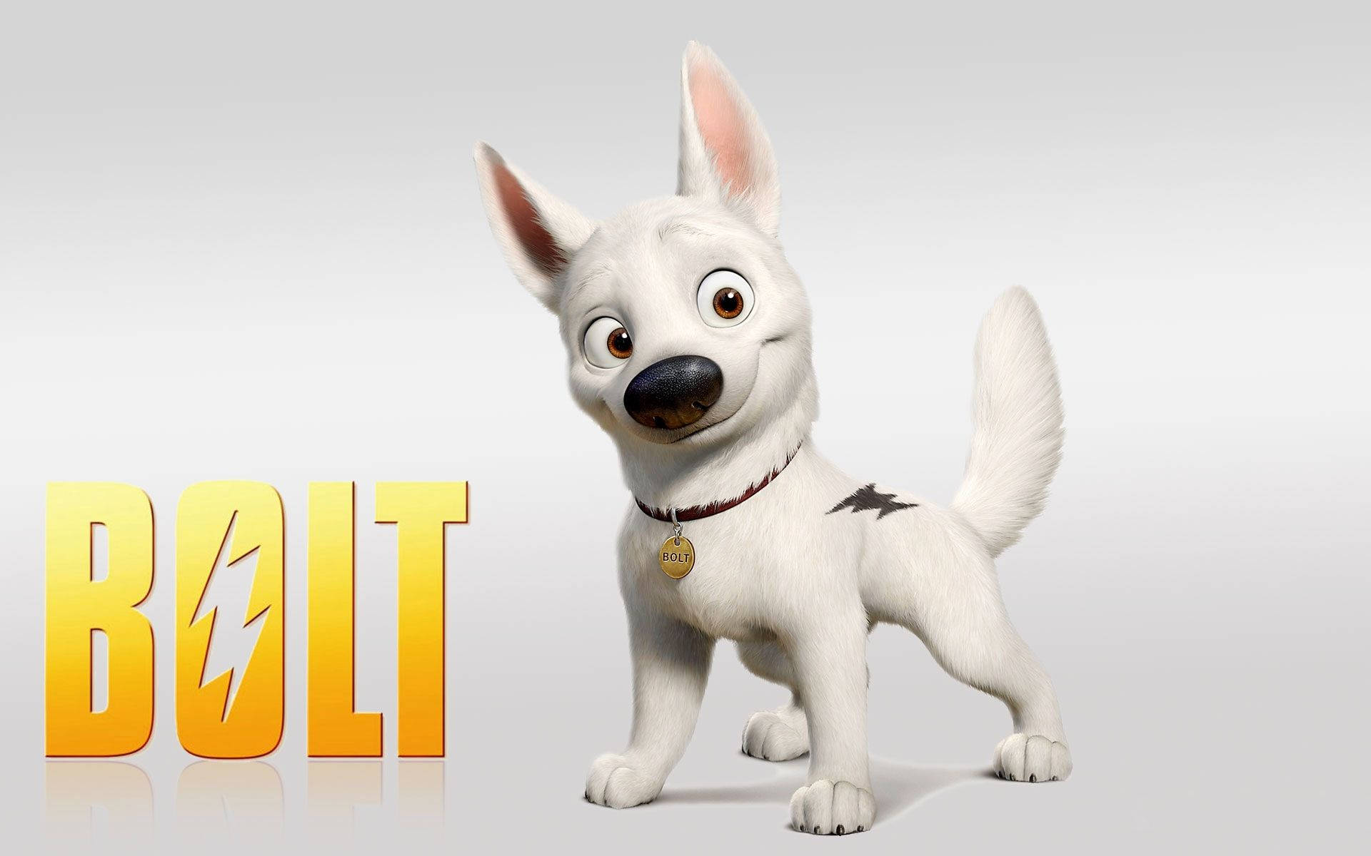 Bolt 桌布 壁紙 — 一隻白色動畫狗，有大眼睛和閃電紋身，站在純色背景上粗體黃色「BOLT」文字旁邊。