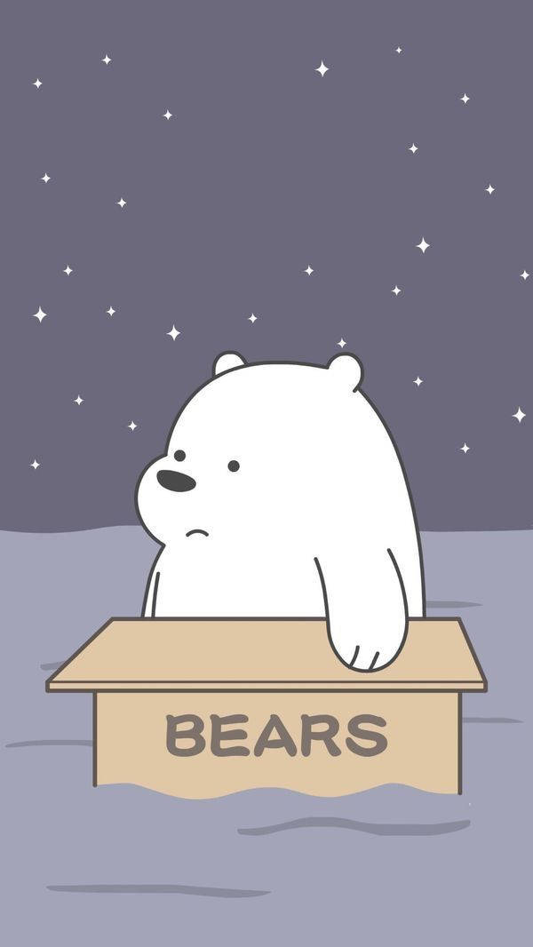 熊熊遇見你 桌布 壁紙 — 一隻白色卡通熊坐在一個標有 BEARS 的紙箱上，背景是繁星點點的紫色夜空。