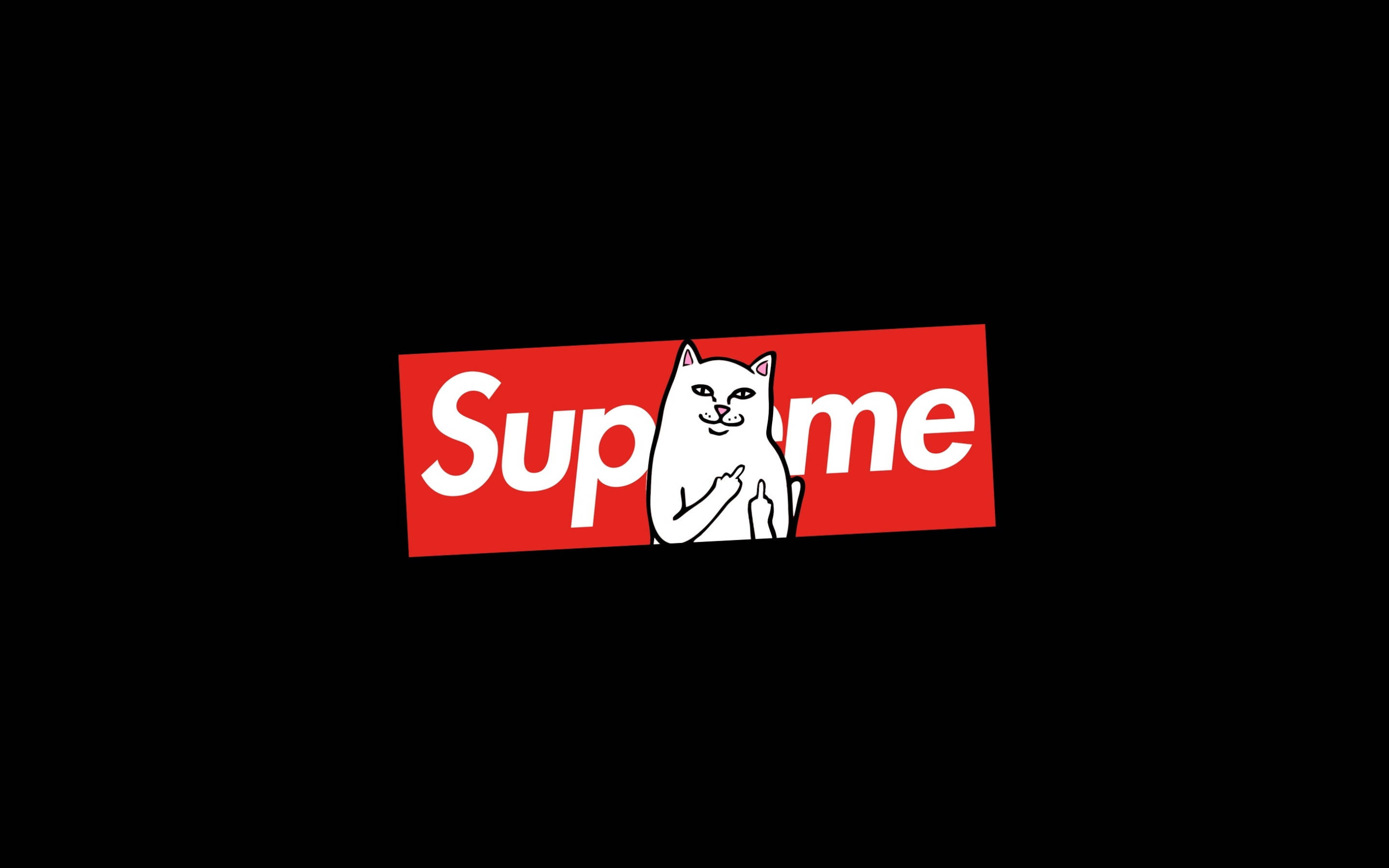 超屌 Supreme 桌布 壁紙 — 一隻白色卡通貓咪帶著頑皮的笑容並豎起中指，坐在黑色背景上的紅色Supreme標誌盒子內。