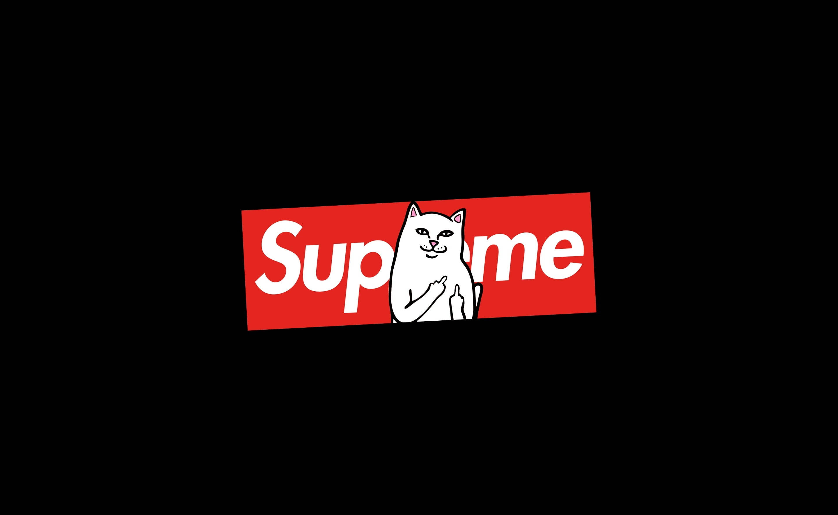 supreme 桌布 壁紙 — 一隻白色卡通貓咪帶著頑皮的笑容和豎起的中指，坐在黑色背景上傾斜的紅色Supreme標誌內。