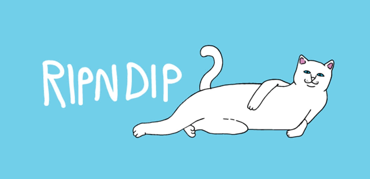 ripndip 桌布 壁紙 — 一隻白色卡通貓在純藍色背景上放鬆地躺著，旁邊有RIPNDIP文字。