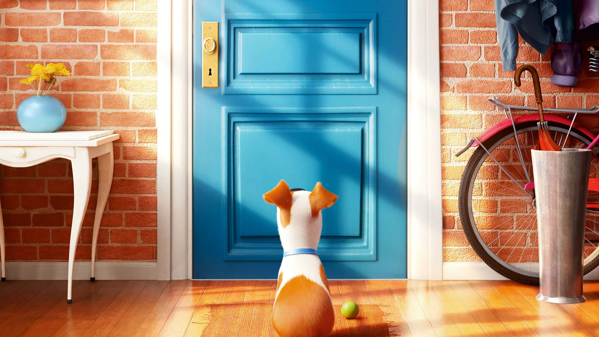 Door 桌布 壁紙 — 一隻白色和橙色的狗耐心地坐在木地板上，凝視著陽光普照的磚砌入口處一扇明亮的藍色前門。