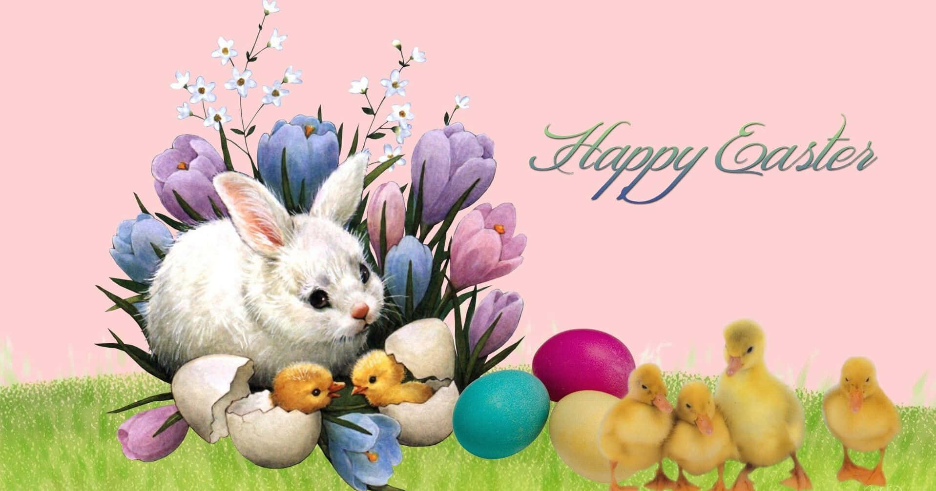 Easter Bunny 桌布 壁紙 — 一隻白色復活節兔子依偎在紫色番紅花和彩色雞蛋之間，還有黃色小鴨，背景是柔和的粉紅色。