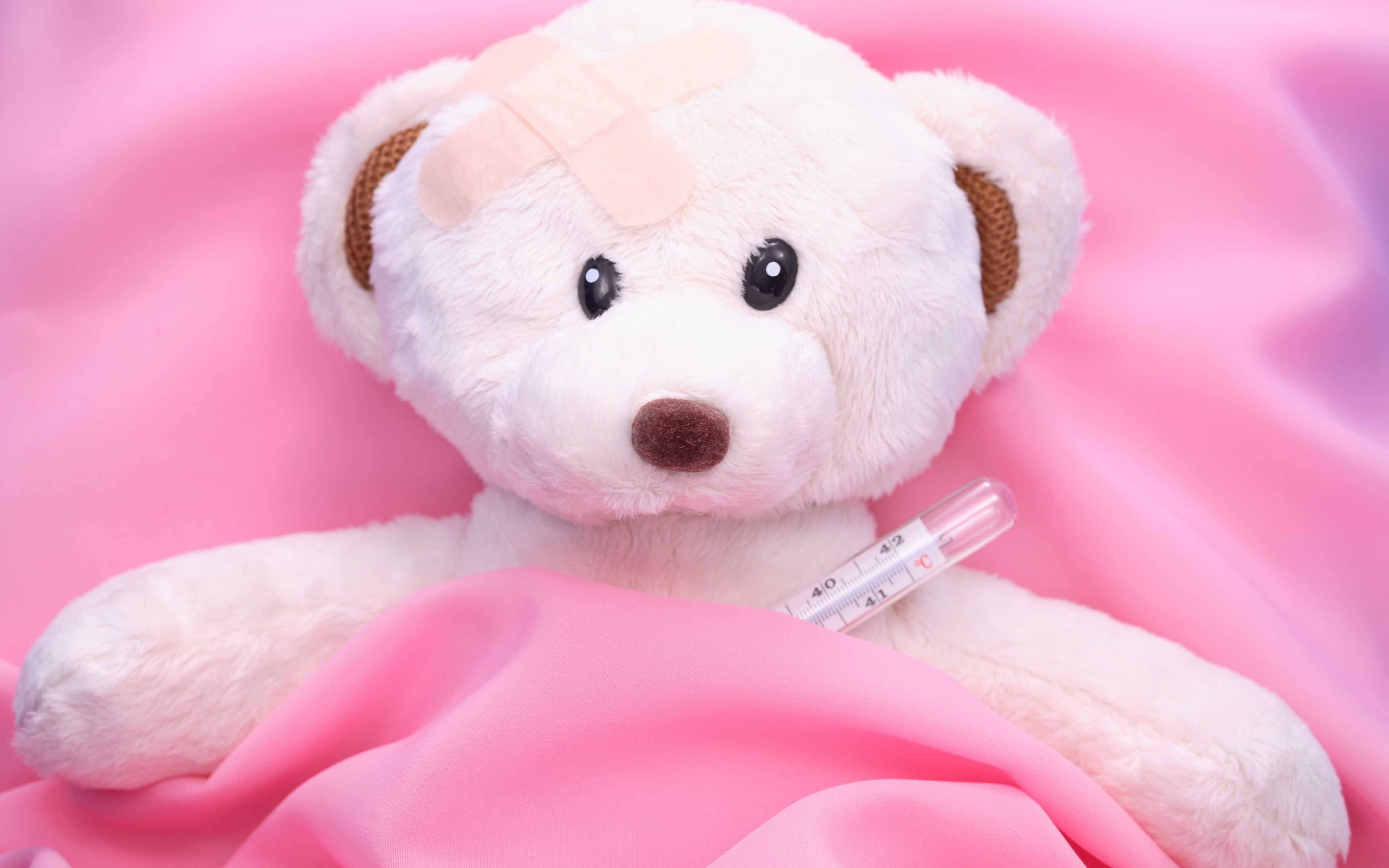 Teddy Bear 桌布 壁紙 — 一隻白色毛絨泰迪熊，額頭上有繃帶，爪子裡有溫度計，在柔軟的粉紅色毯子下休息。