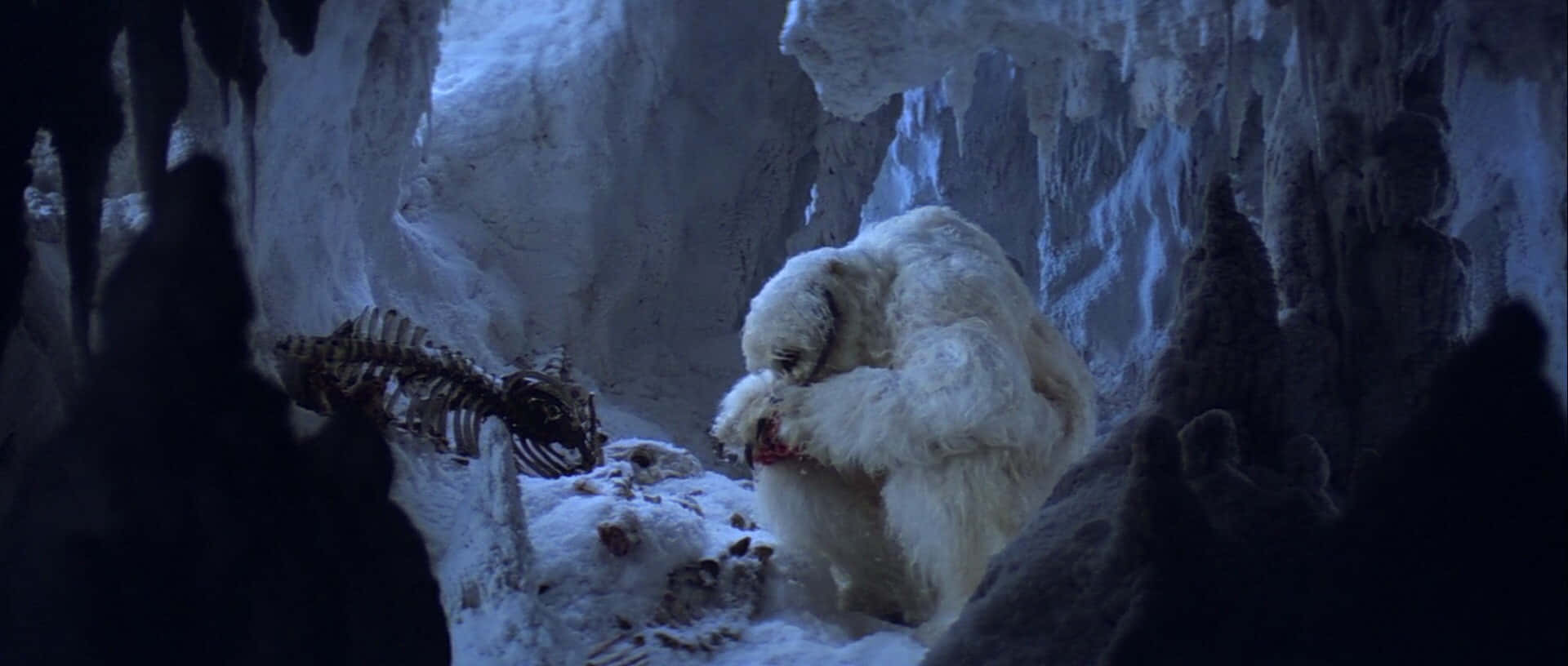Wampa 桌布 壁紙 — 一隻白色毛茸茸的生物在一個黑暗的冰洞裡享用骨架，洞內掛滿冰柱。