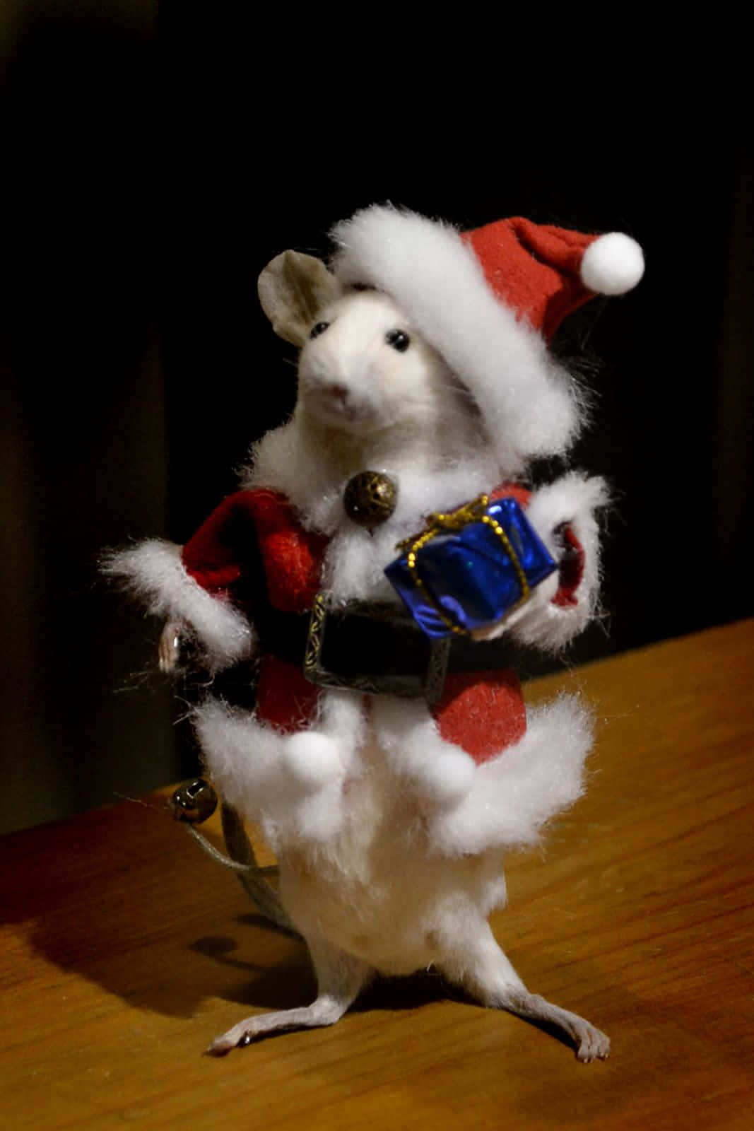 Santa Claus 桌布 壁紙 — 一隻白色氈老鼠打扮成聖誕老人，在木質表面上拿著一個藍色禮物盒。