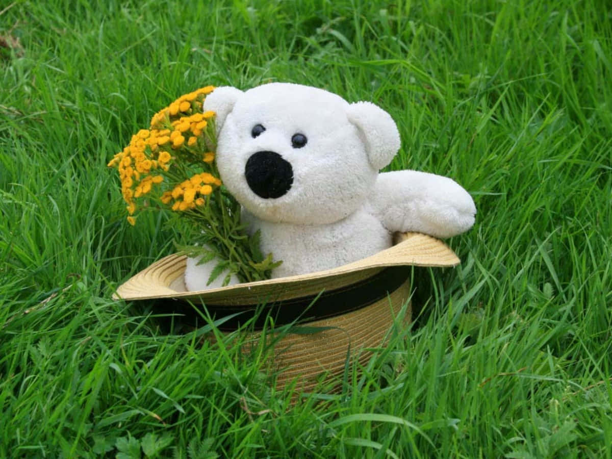 Cute Teddy 桌布 壁紙 — 一隻白色泰迪熊戴著草帽，坐在翠綠的草地上，手持黃色花朵。
