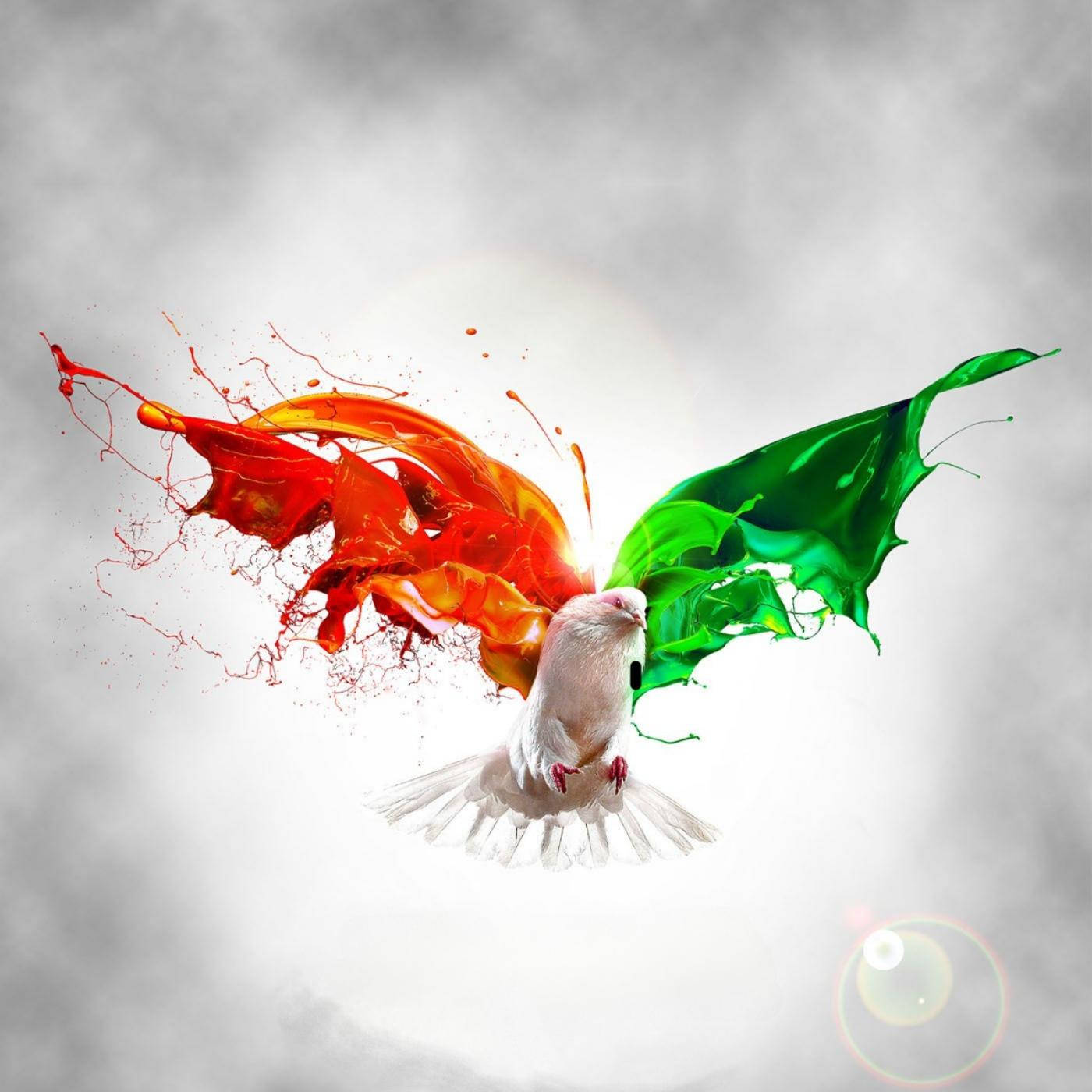 Tiranga 桌布 壁紙 — 一隻白色的鳥在陰沉的灰色天空中翱翔，翅膀由鮮豔的紅色和綠色油漆飛濺而成。
