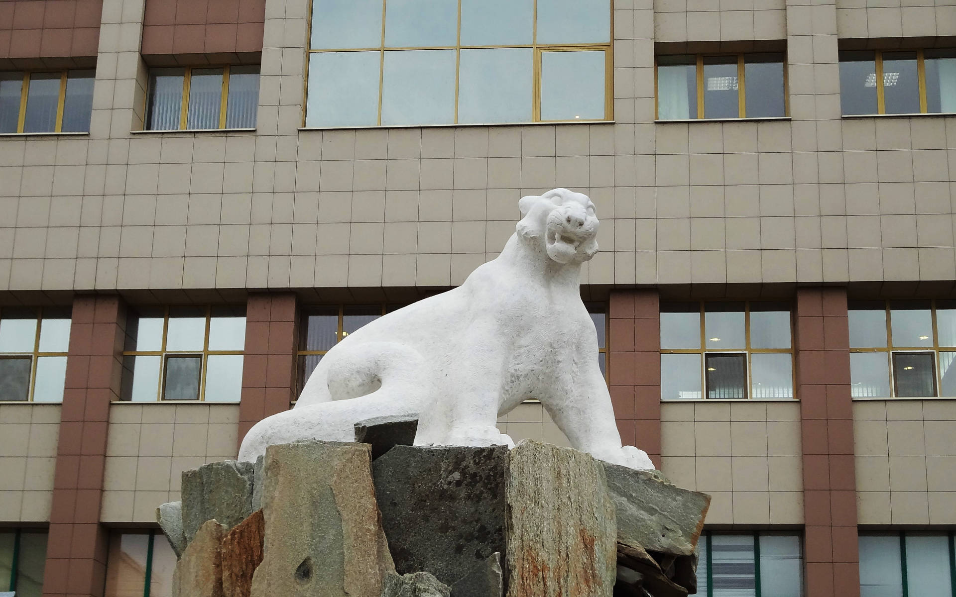 Kazan 桌布 壁紙 — 一隻白色石虎雕像棲息在堅固的岩石上，前方是一座現代建築，外牆鋪有米色和棕色瓷磚，窗戶鑲有金色邊框。