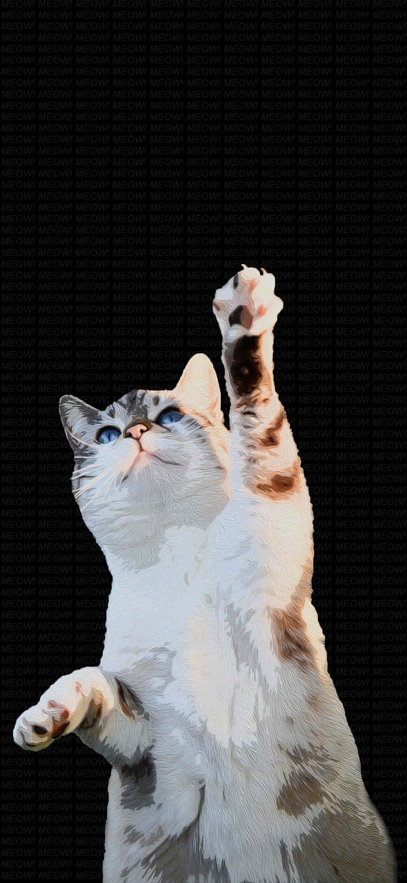 Dancing Cat 桌布 壁紙 — 一隻白色虎斑貓，藍色眼睛，在黑色背景上後腿站立，一隻爪子向上伸。