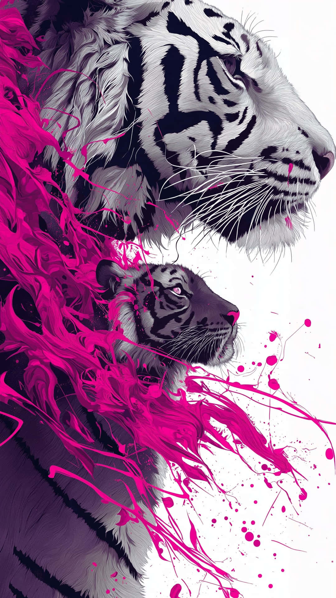 Dynamic duo of tigers emerging through vibrant pink paint splashes, a modern animal art piece 壁紙 — 一隻白虎和幼崽從鮮豔的洋紅色油漆飛濺中浮現，背景是純白色。