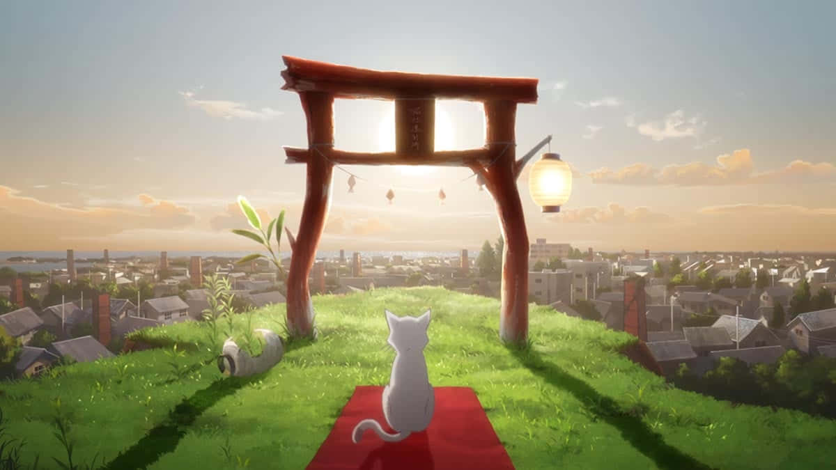 A Whisker Away 桌布 壁紙 — 一隻白貓坐在紅色墊子上，位於木製鳥居下方，俯瞰著金色日落下的廣闊城市。