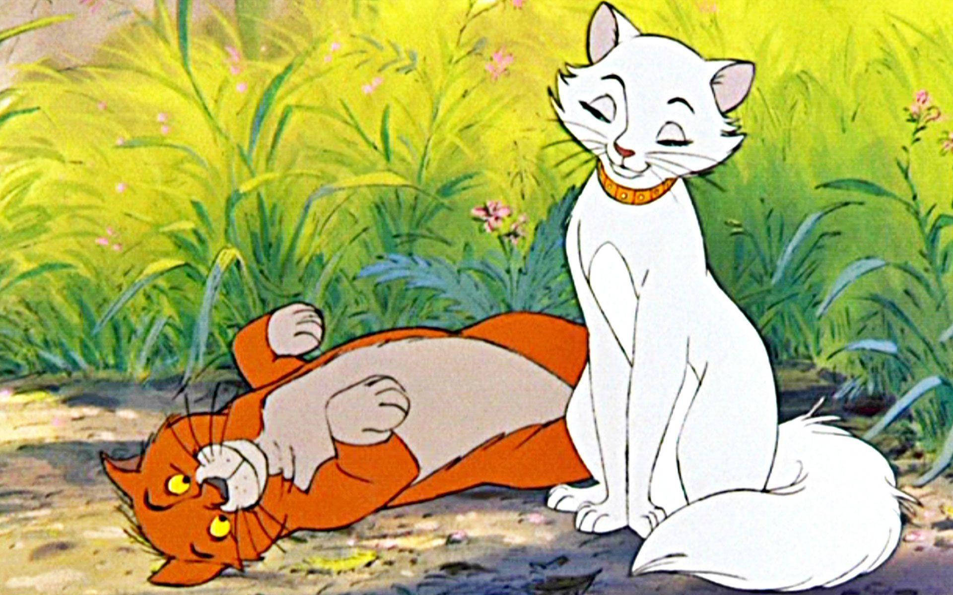 aristocats 桌布 壁紙 — 一隻白貓安靜地坐在一隻大笑的橘色貓旁邊，橘色貓在陽光照耀的草地上打滾。