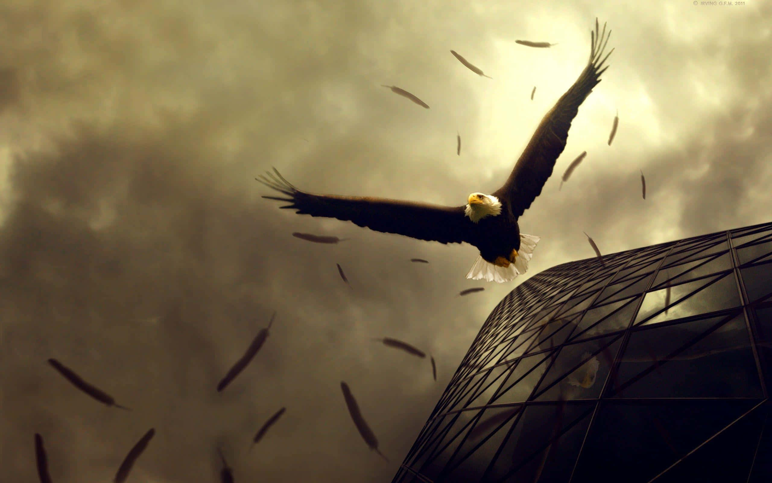 Eagle 桌布 壁紙 — 一隻白頭鷹在暴風雨的天空下，雄偉地翱翔於現代玻璃摩天大樓之上，周圍漂浮著魚形狀的物體。