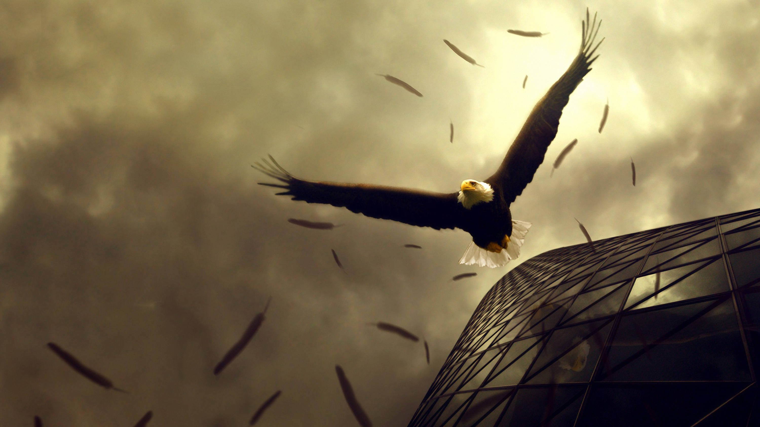 Eagle 桌布 壁紙 — 一隻白頭鷹在暴風雨的天空中雄偉地翱翔，落葉在其展開的翅膀周圍旋轉，靠近一座現代玻璃建築。