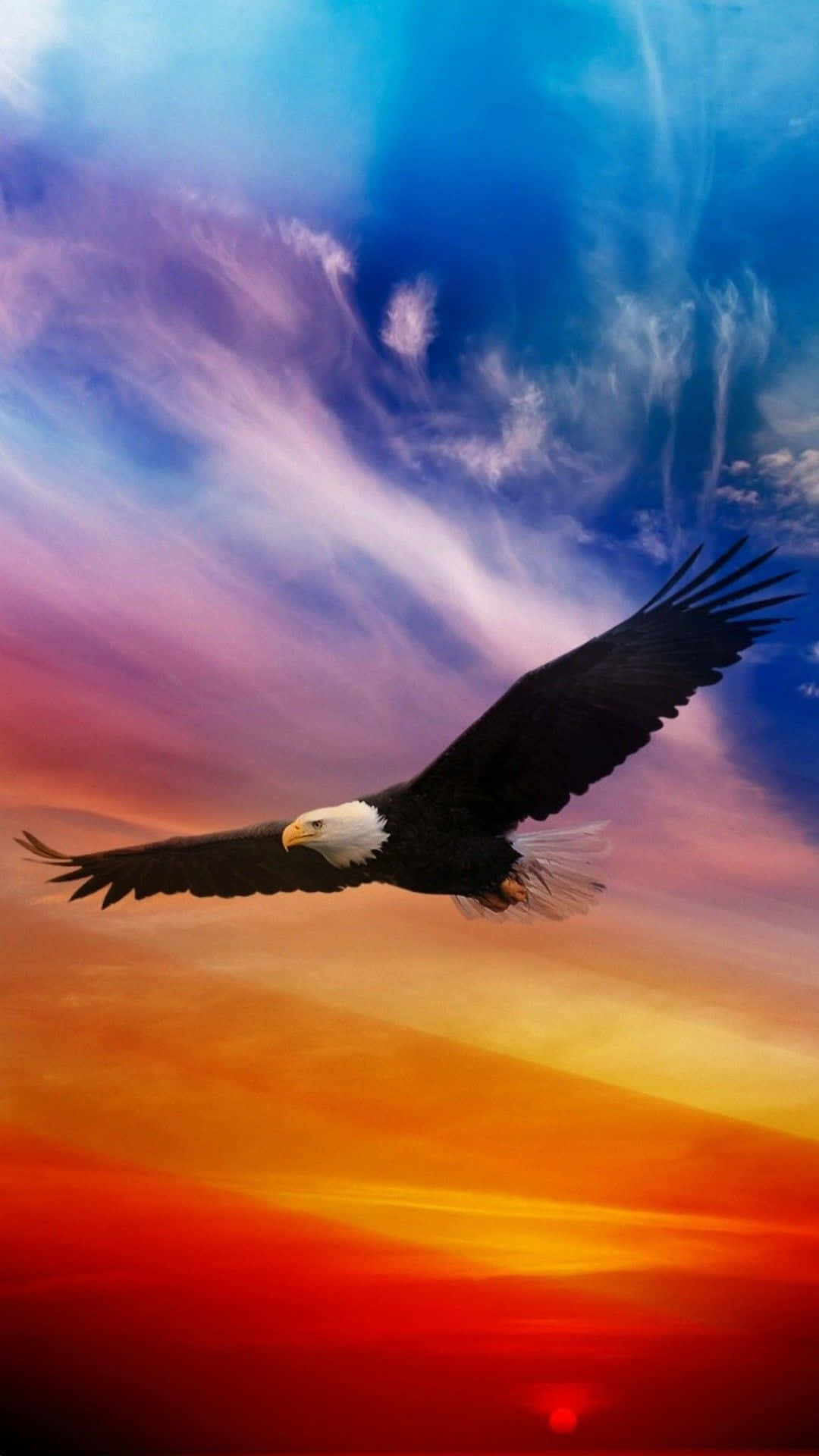 鳥 桌布 壁紙 — 一隻白頭鷹在色彩繽紛的日落天空中翱翔，天空被火紅橙色和深藍色的雲彩渲染得壯麗非凡。