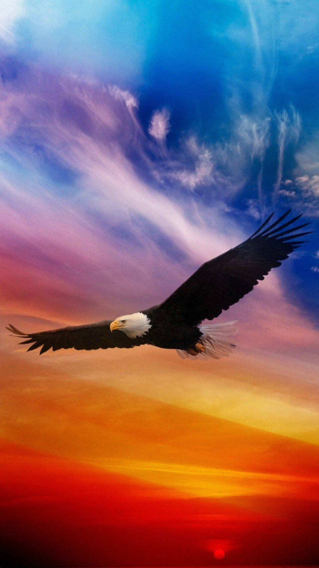 Flying Eagle 桌布 壁紙 — 一隻白頭鷹在色彩繽紛的日落天空中翱翔，天空被火紅的橙色、紅色和深藍色的雲彩渲染。