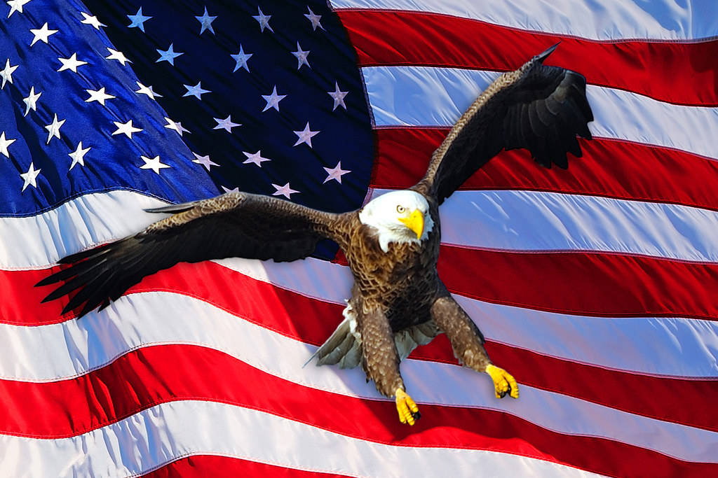 Eagle 桌布 壁紙 — 一隻白頭鷹展翅高飛，以鮮豔的美國國旗為背景。
