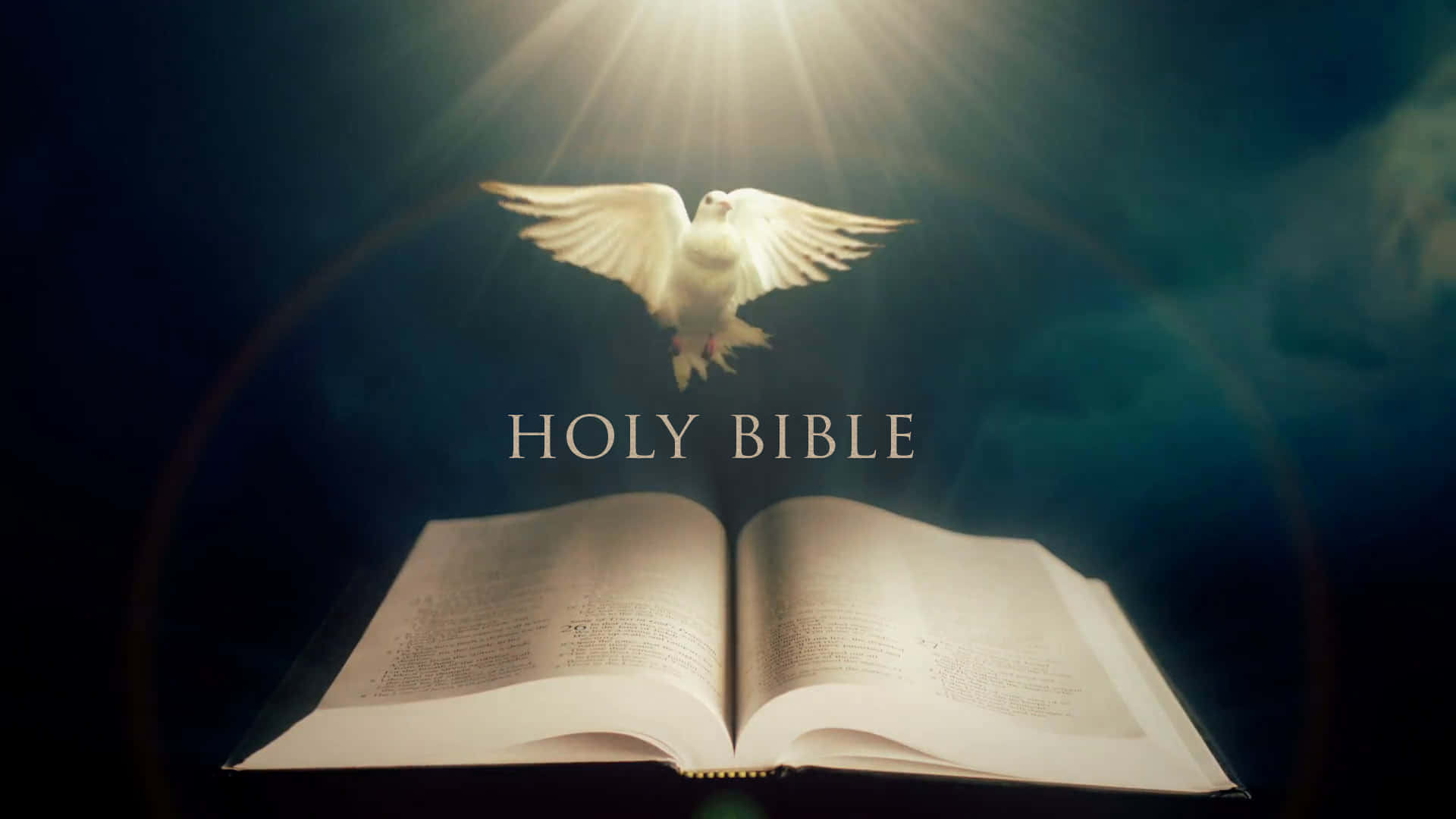 New Testament 桌布 壁紙 — 一隻白鴿在打開的聖經上方翱翔，神聖的光芒從天而降。