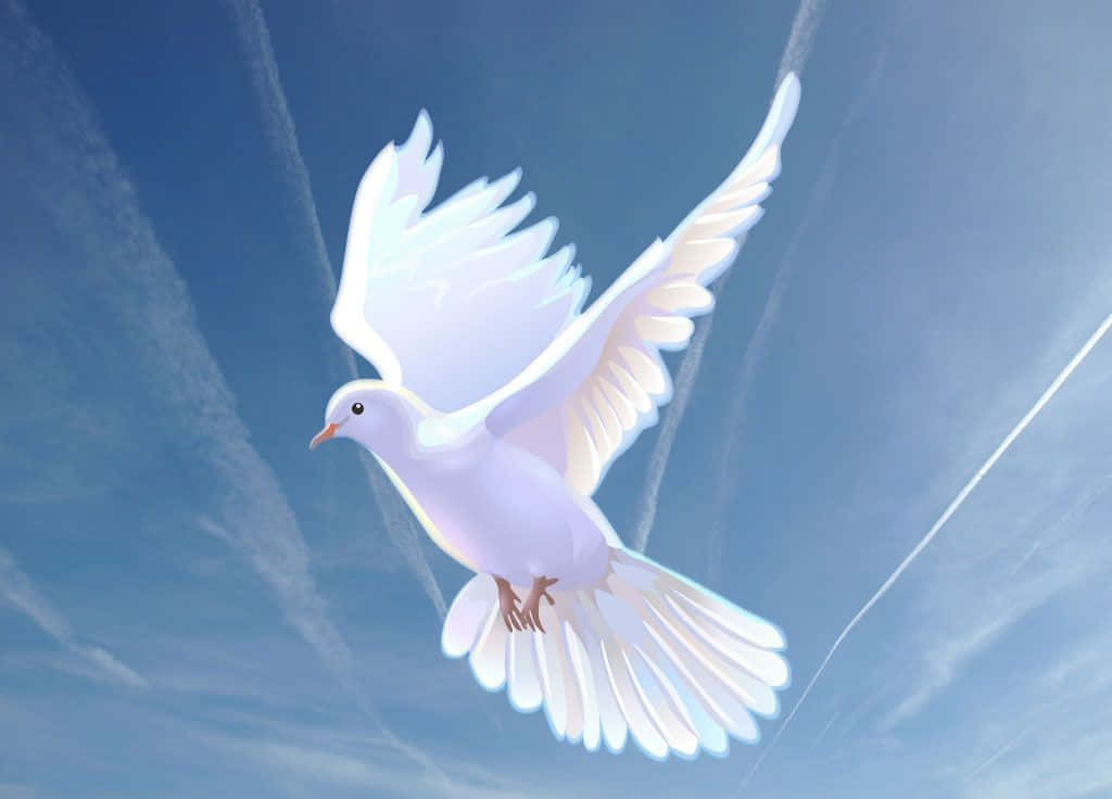 Dove 桌布 壁紙 — 一隻白鴿在藍天白雲中優雅翱翔。