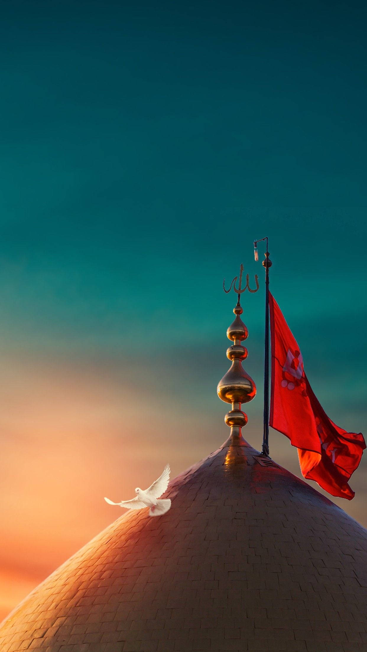Karbala 桌布 壁紙 — 一隻白鴿在黃昏的天空下飛近一個頂著紅旗的金色圓頂。