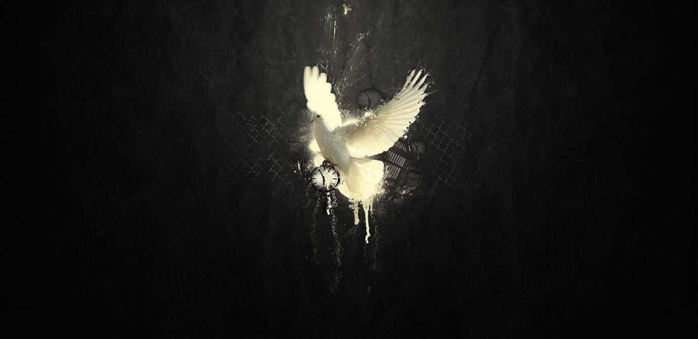 Dove 桌布 壁紙 — 一隻白鴿展開翅膀，衝破帶有滴漆效果的深色紋理牆壁。