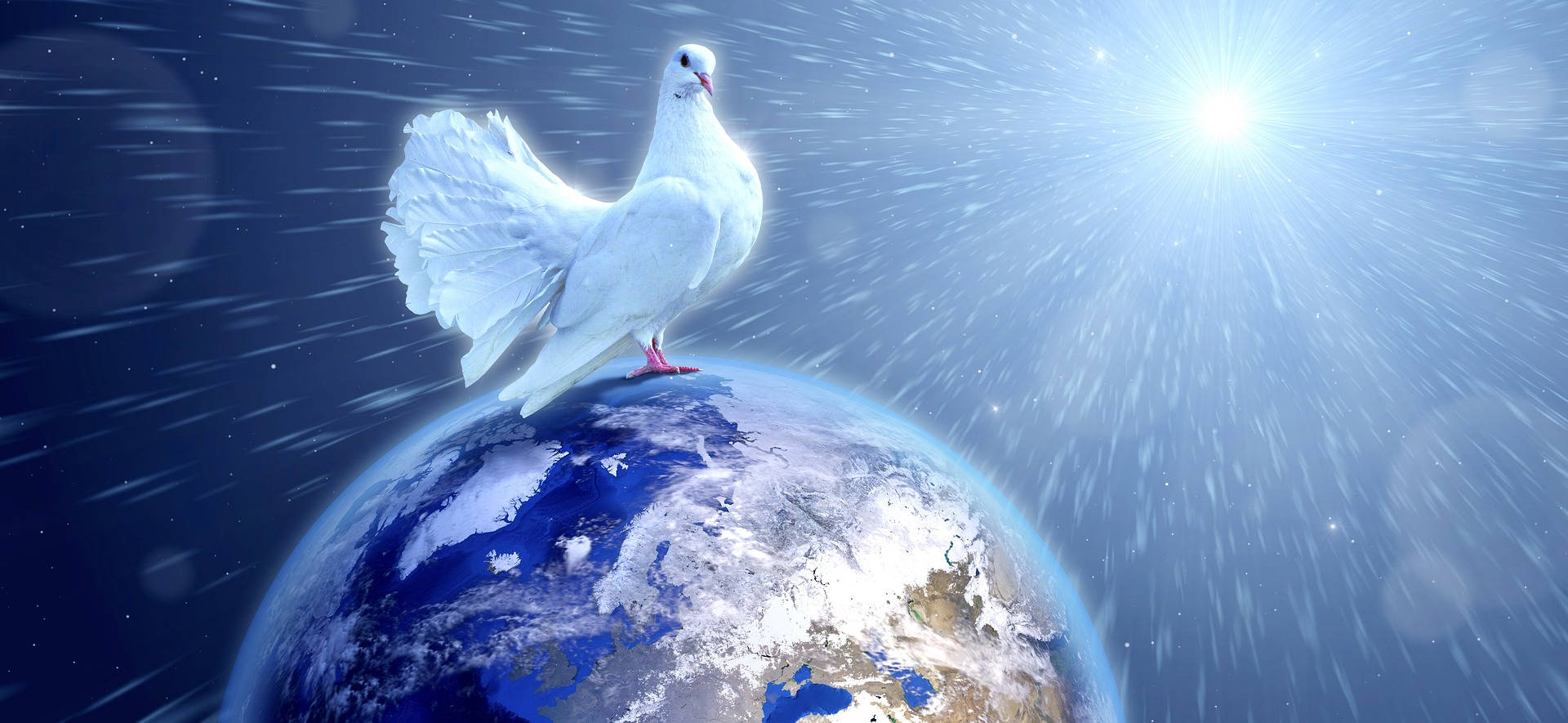 World 桌布 壁紙 — 一隻白鴿棲息在藍色地球之上，背後有光芒四射的太陽在太空中。