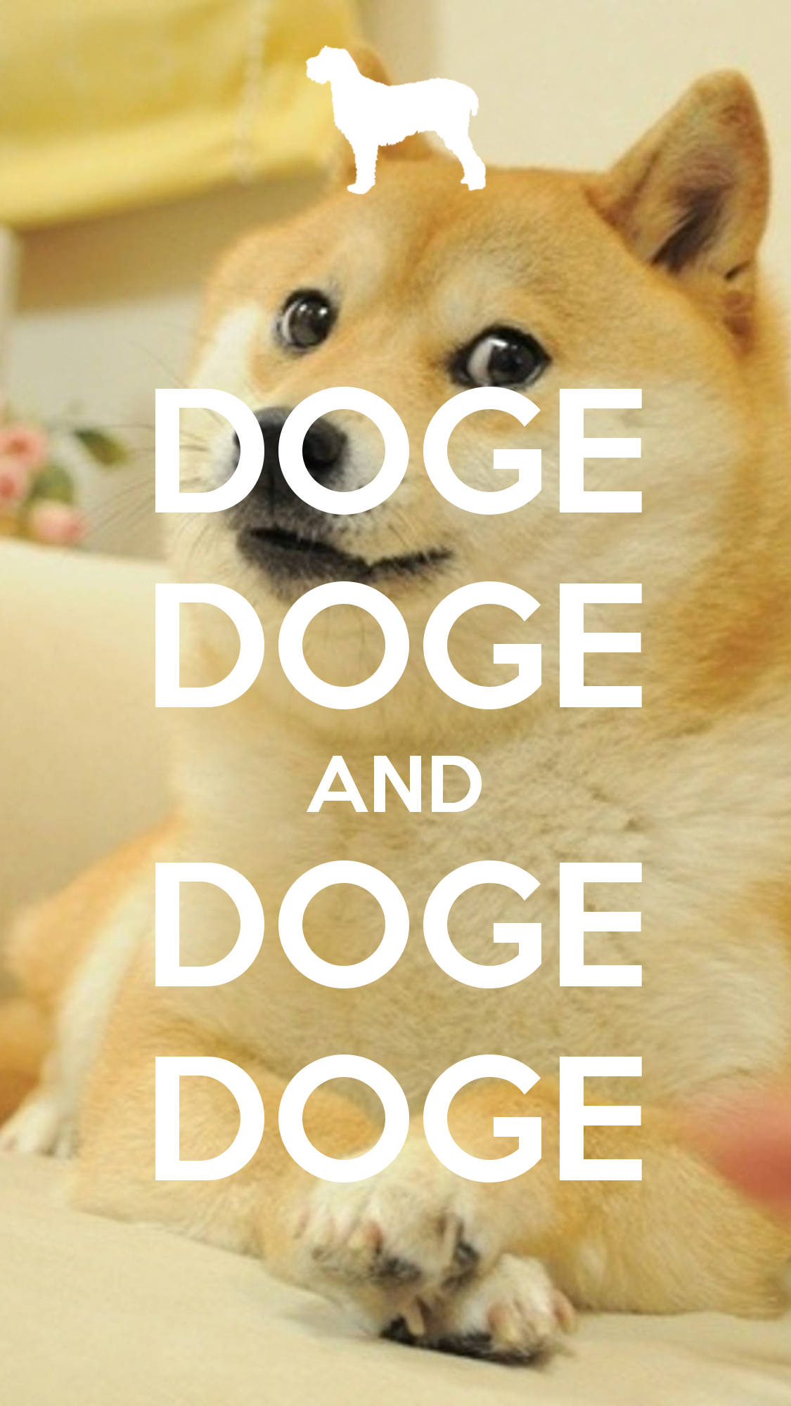 Doge 桌布 壁紙 — 一隻眼睛大大的柴犬靜靜地坐著，粗體白色文字在其身體上重複「DOGE」，上方漂浮著一隻白色狗剪影。